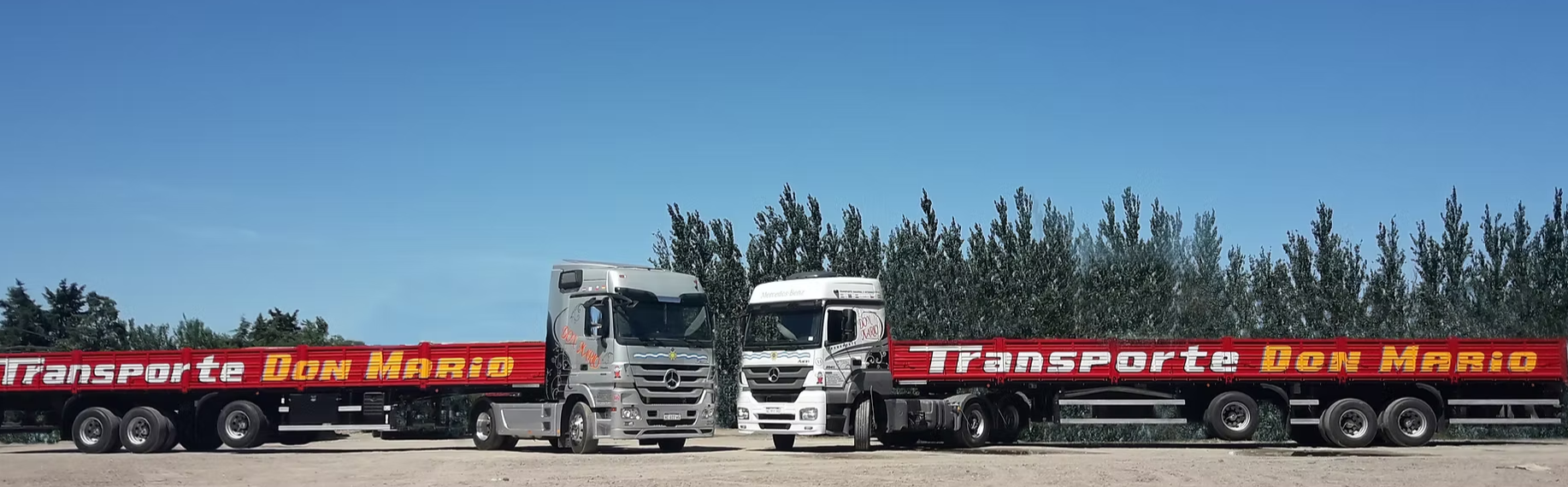 TRANSPORTE DON MARIO